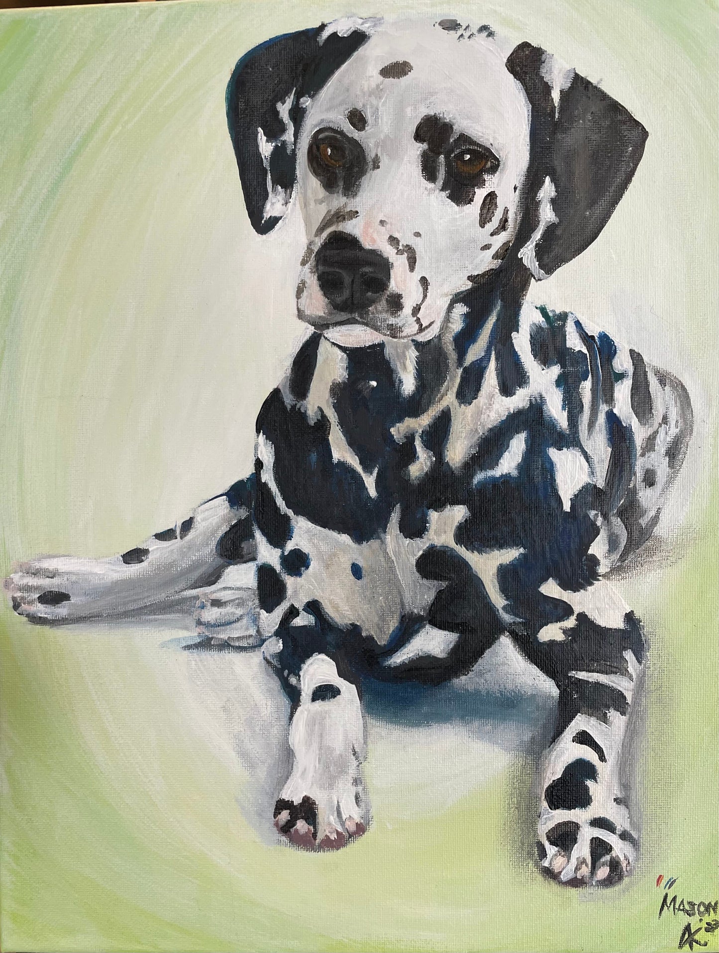 16x20 Pet Portrait
