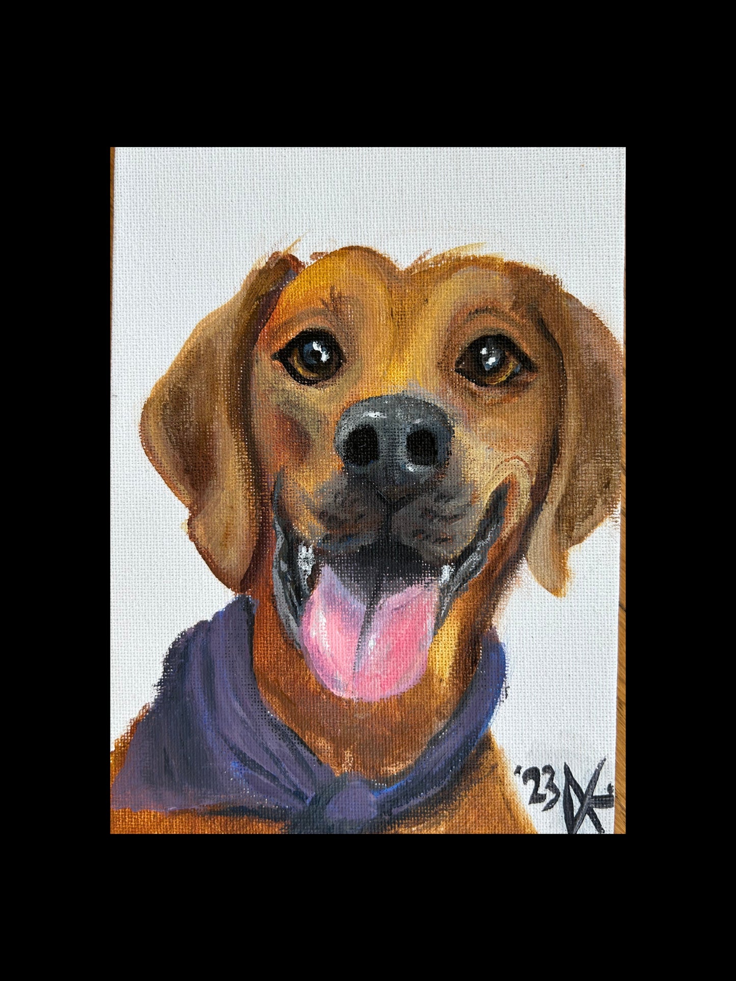 5x7 Pet Portrait